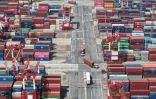 Vue aérienne de camions et de conteneurs au port de Shanghai, le 13 octobre 2025 en Chine