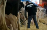 Un éleveur en t-shirt noi le 27 février 2016 au Salon de l'Agriculture à Paris