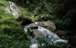 Une cascade dans le parc national de Kibira, le 13 mars 2022 au Burundi
