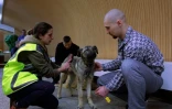Une éducatrice Annamaria Nagy, un détenu et un chien le le 7 février 2016 dans la prison de Debrecen en Hongrie