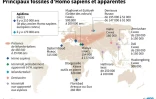 Principaux fossiles d'Homo sapiens et espèces apparentées
