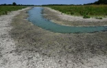 Un étang asséché, le 22 juillet 2019 à Villars-les-Dombes, dans l'Ain