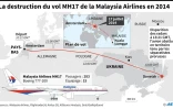 La destruction du vol MH17 en 2014