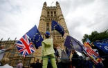 Manfestation anti-Brexit à Londres le 12 juin 2018