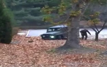 Capture d'image d'une vidéo fournie par le Commandement des Nations Unis en Corée montrant un militaire nord-coréen , quittant un véhicule pour courir vers la Zone démilitarisée, le 22 novembre 2017