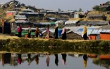 Des réfugiés rohingyas dans le camp de Balukhali, au Bangladesh, le 22 novembre 2017