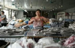 Une employée emballe des vêtements pour la société chinoise de commerce en ligne Temu, dans une usine à Canton, dans la province du Guangdong, le 16 avril 2025 dans le sud de la Chine