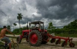 Un tracteur de fabrication soviétique dans la banlieue de la Havane, le 16 octobre 2017