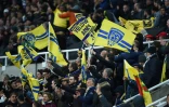 Les supporters de Clermont lors de la finale du Challenge européen face à La Rochelle, le 10 mai 2019 à Newcastle