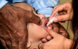Un enfant reçoit un vaccin oral contre le choléra à Dhaka, le 19 février 2020