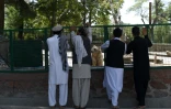 Des visiteurs devant l'enclos d'un ours au zoo de Kaboul, le 12 juillet 2016 en Afghanistan