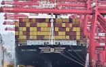 Le porte-conteneurs MSC Livorno à quai dans le port de Long Beach, en Californie, le 5 mars 2025
