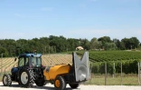 Le viticulteur Julien Luro passe en tracteur près de ses vignes, le 13 juillet 2023 à Targon, en Gironde