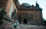 Sur les 2.500 pagodes ou monuments bouddhistes que comptent la ville sainte birmane de Bagan, 185 ont été endommagés par le séisme de la veille et fermés au public le 25 août 2016