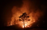 Un feu de forêt se propage à Andong, le 26 mars 2025