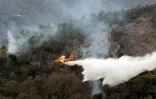 Un avion bombardier d'eau survole les derniers foyers d'un incendie qui avait ravagé plus de 200 hectares près du village de Vignale en Haute-Corse, en décembre 2011