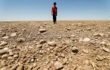 Un enfant dans un champ agricole desséché dans l'est de l'Irak, le 24 juin 2021