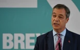 L'europhobe Nigel Farage, chef de file du Parti du Brexit, à Hartlepool le 11 novembre 2019