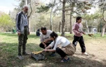 Des Iraniens préparent un barbecue au parc Mellat de Téhéran, le 2 avril 2026, à l'occasion de la "Journée de la nature "marquant la fin des festivités du Nouvel an persan