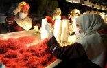 Des ouvrières trient des stigmates de safran dans une usine de production Novin Saffron, le 12 novembre 2018 dans la province de Khorasan, en Iran