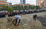 Une femme nourrit un chien errant devant une longue file d'habitants qui attendent pour déposer leur pétition contre un projet de canal à Istanbul, le 27 décembre 2019