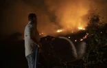 Un volontaire lutte contre un incendie près de la route Transpantaneira, le 13 septembre 2020 dans le Pantanal brésilien