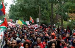 Des milliers de personnes issues de la diaspora ultramarine, vêtues de rouge, manifestent le 3 novembre 2024 à Paris contre la vie chère en Outre-mer
