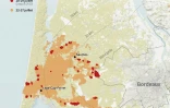 Incendie en Gironde : des feux en lisière de la métropole bordelaise