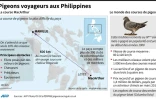 Pigeons voyageurs aux Philippines