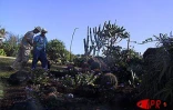 Située sur deux hectares  à Terre-Rouge (Saint-Pierre - Sud), l'Epinacothèque est un jardin insolite consacré aux cactus