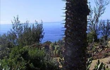 Située sur deux hectares  à Terre-Rouge (Saint-Pierre - Sud), l'Epinacothèque est un jardin insolite consacré aux cactus