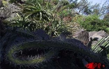Située sur deux hectares  à Terre-Rouge (Saint-Pierre - Sud), l'Epinacothèque est un jardin insolite consacré aux cactus