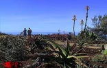 Située sur deux hectares  à Terre-Rouge (Saint-Pierre - Sud), l'Epinacothèque est un jardin insolite consacré aux cactus