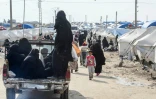 Des femmes voilées arrivent au camp de déplacés Al-Hol dans la province de Hassaké, dans le nord-est syrien, où ont été transférés des civils et des familles de jihadistes du groupe Etat islamique (EI), après avoir fui les violences, le 28 mars 2019