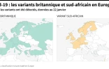 Covid-19 : les variants britannique et sud-africain en Europe