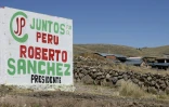 Propagande politique en faveur de Roberto Sanchez, candidat de gauche au second tour de la présidentielle au bord de la route entre Puno et Juliaca, dans la région de Puno, au Pérou, le 30 mai 2026