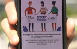 L'application StopCovid sur un téléphone, le 6 juin 2020