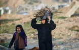 Une Palestinienne porte du bois dans le camp de Nousseirat, dans le centre de la bande de Gaza, le 31 décembre 2025