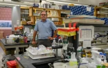 Le virologue John Dennehy, le 25 août 2022, dans un laboratoire du Queens College, à New York