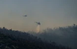 Des hélicoptères larguent de l'eau pour éteindre un feu de forêt sur le mont Parnitha, près d'Athènes, le 29 juin 2024 en Grèce