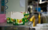 Les employés d'Unilever produisaient des thés Lipton et des infusions Éléphant avant de monter leur coopérative Fralib, renommée Scop-Ti