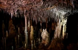 Des formations minérales, stalactites et stalagmites à l'intérieur de la grotte de Cussac, lors d'une visite exclusive autorisée parl a DRAC de Nouvelle-Aquitaine, le 20 février 2025 au Buisson-de-Cadouin, en Dordogne