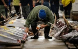 Un acheteur inspecte des thons lors des dernières enchères au marché de poissons de Tsukiji, le 6 octobre 2018 à Tokyo, au Japon