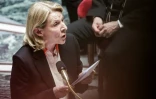 La ministre française de la Culture, Catherine Pegard, s'exprime lors d'une séance de questions au gouvernement à l'Assemblée nationale, à Paris, le 28 avril 2026