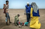 Des membres de l'OIM viennent en aide dans une zone désertique à un migrant épuisé, le 12 avril 2026, près d'Obock, à Djibouti