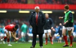Le sélectionneur du pays de Galles Warren Gatland lors de la victoire sur l'Irlande à Cardiff 25-7 en dernière journée du Tournoi des Six Nations le 16 mars 2019