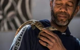 Mamdouh Hassan montre un bébé crocodile dans sa maison située dans le village égyptien de Gharb Soheil (sud), le 3 février 2020