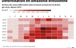 Déforestation en Amazonie brésilienne