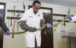 Des herpétologistes et un docteur vétérinaire tiennent un mamba noir pendant l'extraction de son venin qui sera utilisé dans la recherche pour la production locale d'antivenin au sein de l'Institut KIPRE à Nairobi, le 7 mars 2025 au Kenya