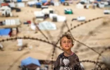 Une enfant derrière des barbelés près d'un camp abritant des déplacés palestiniens à Rafah, dans le sud de la bande de Gaza, le 30 avril 2024